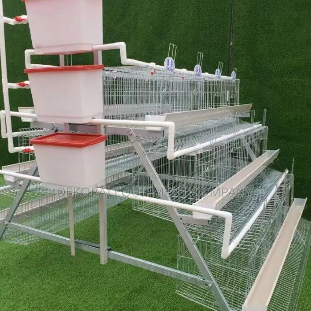 Efficient Layer Cages: 500-40,000 Chicken For Egg Production