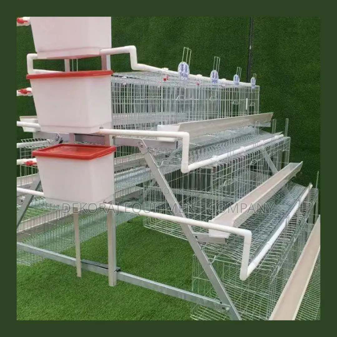 Galvanized Steel Poultry Cages For 500-40,000 Chickens