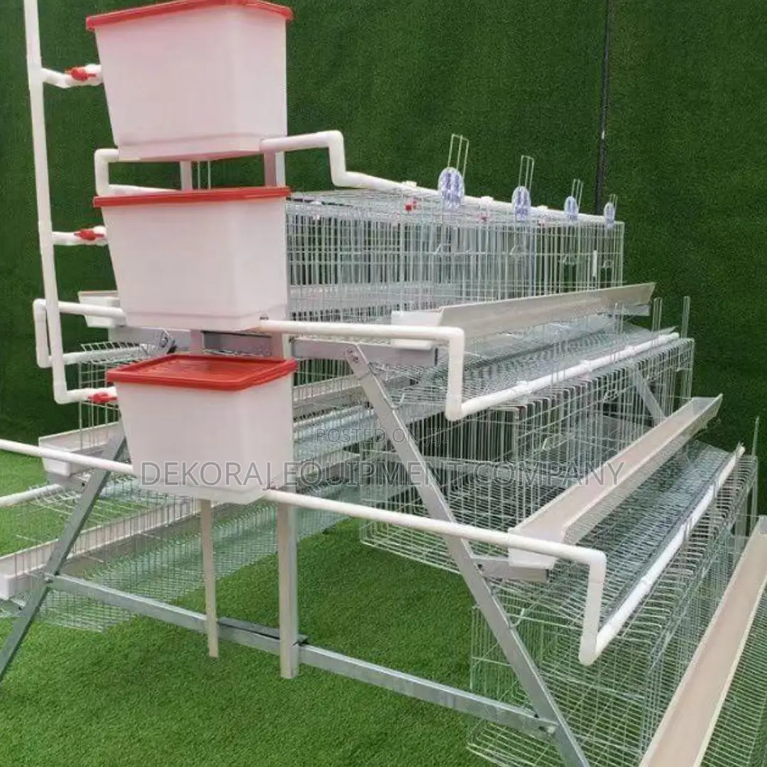 Efficient Layer Battery Cages For 500-40,000 Chickens