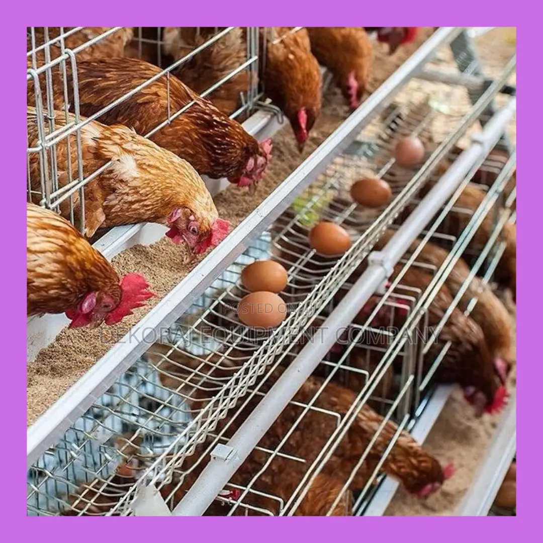 High Capacity Layer Cages: 500-40,000 Chicken Egg Production