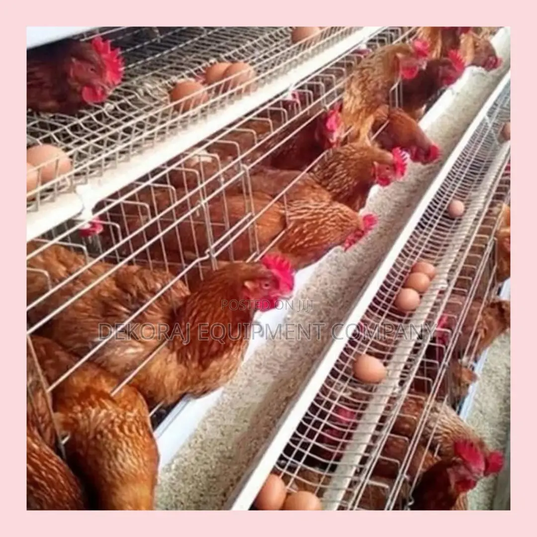 Automatic Poultry Cages