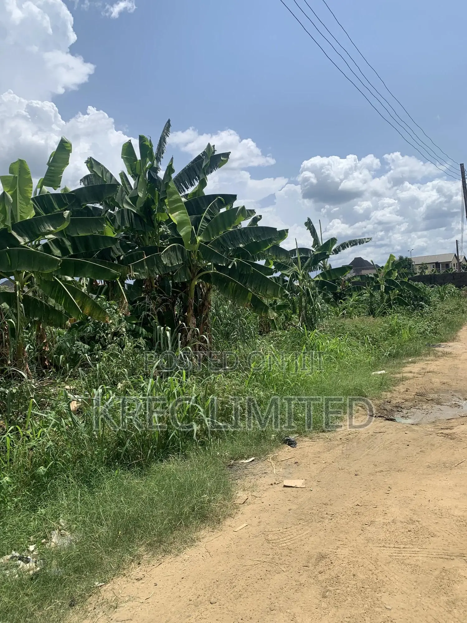 Isiokpo Express With Cofo