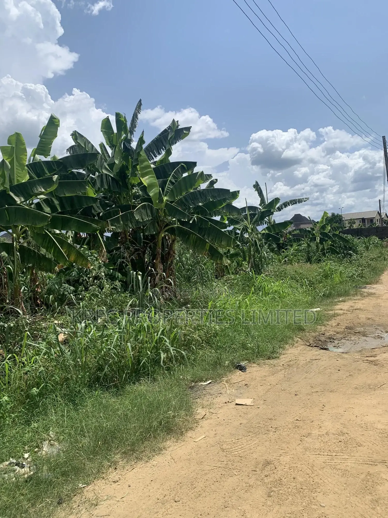 Isiokpo Express With Cofo