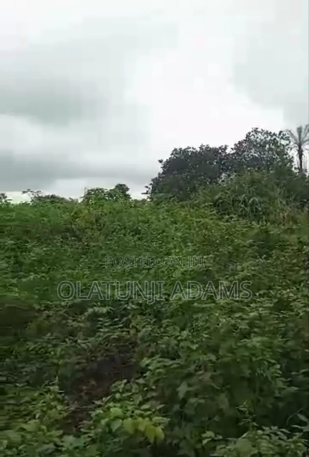 For Sale 60acres of Farmland at Igbajo Town