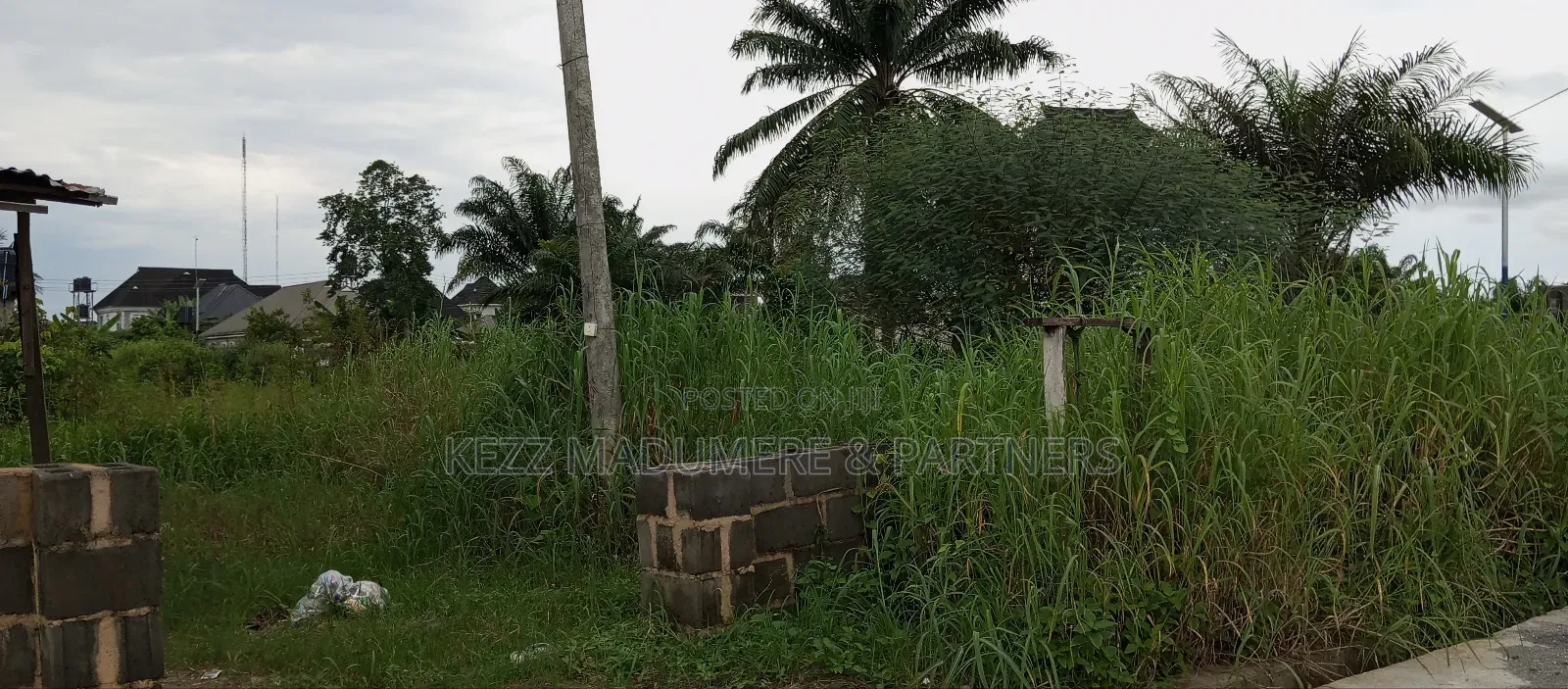 For Sale: Five Cornerpiece Plots at Radio Estate