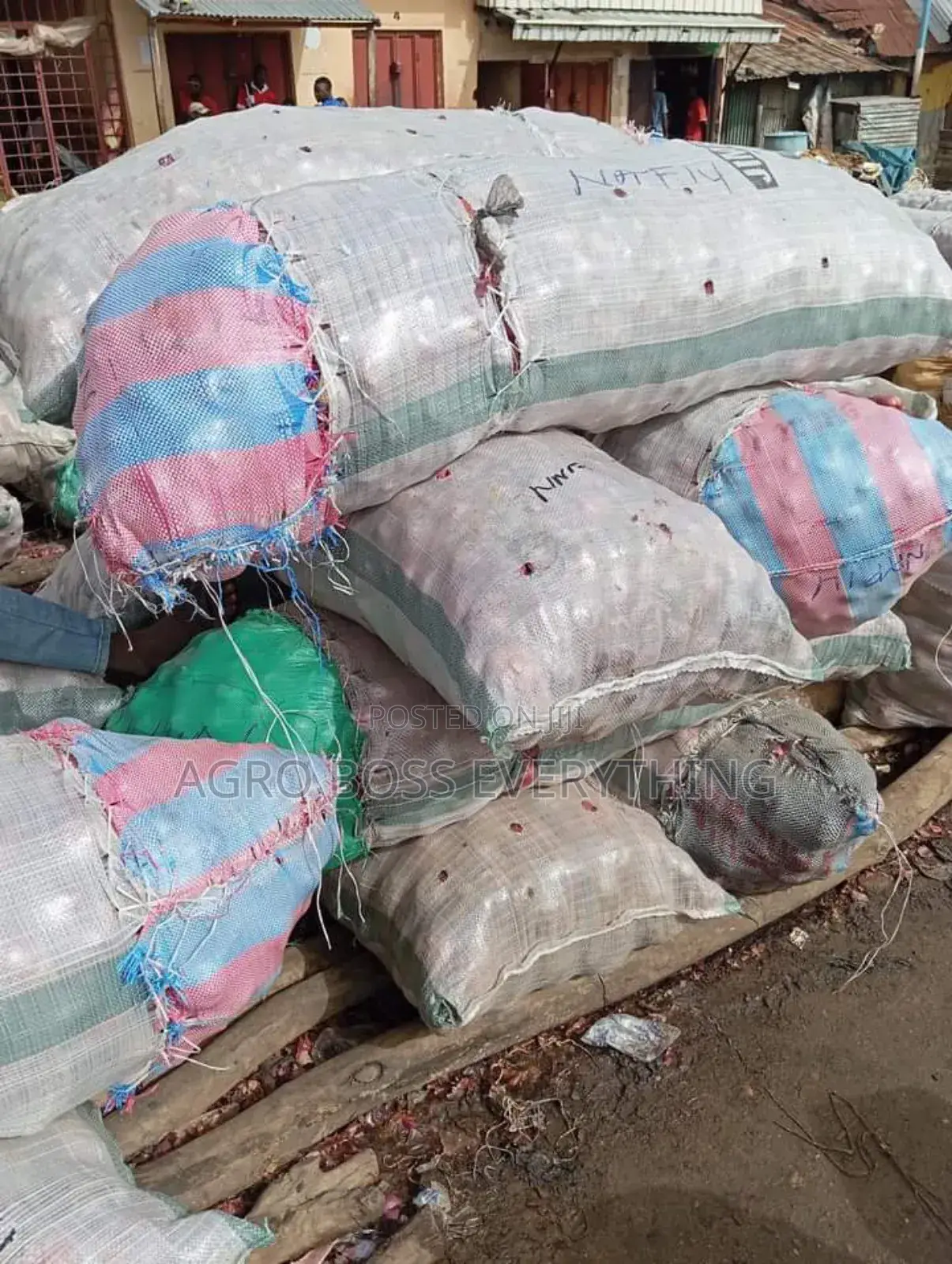 30 Bags of Onion Available for Immediate Delivery