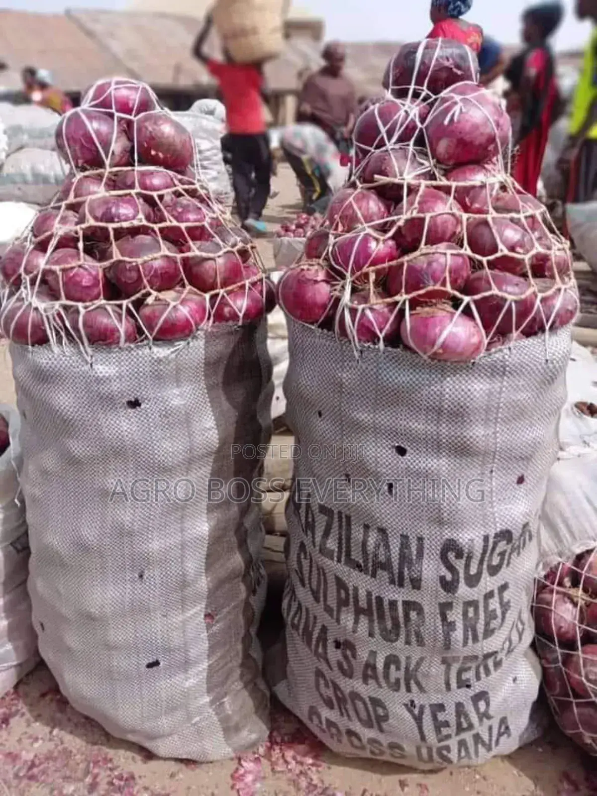 30 Bags of Onion Available for Immediate Delivery