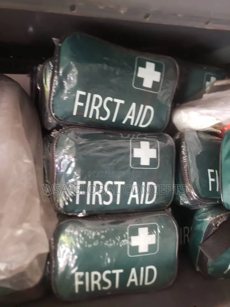 First Aid Hand Bag With Kit