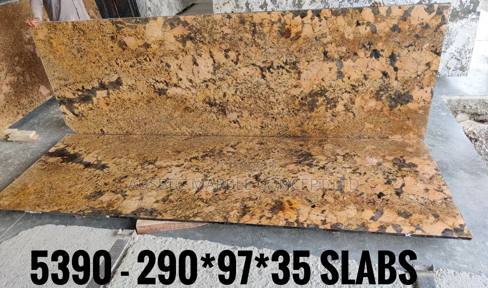 Italian Dino Gold Slab