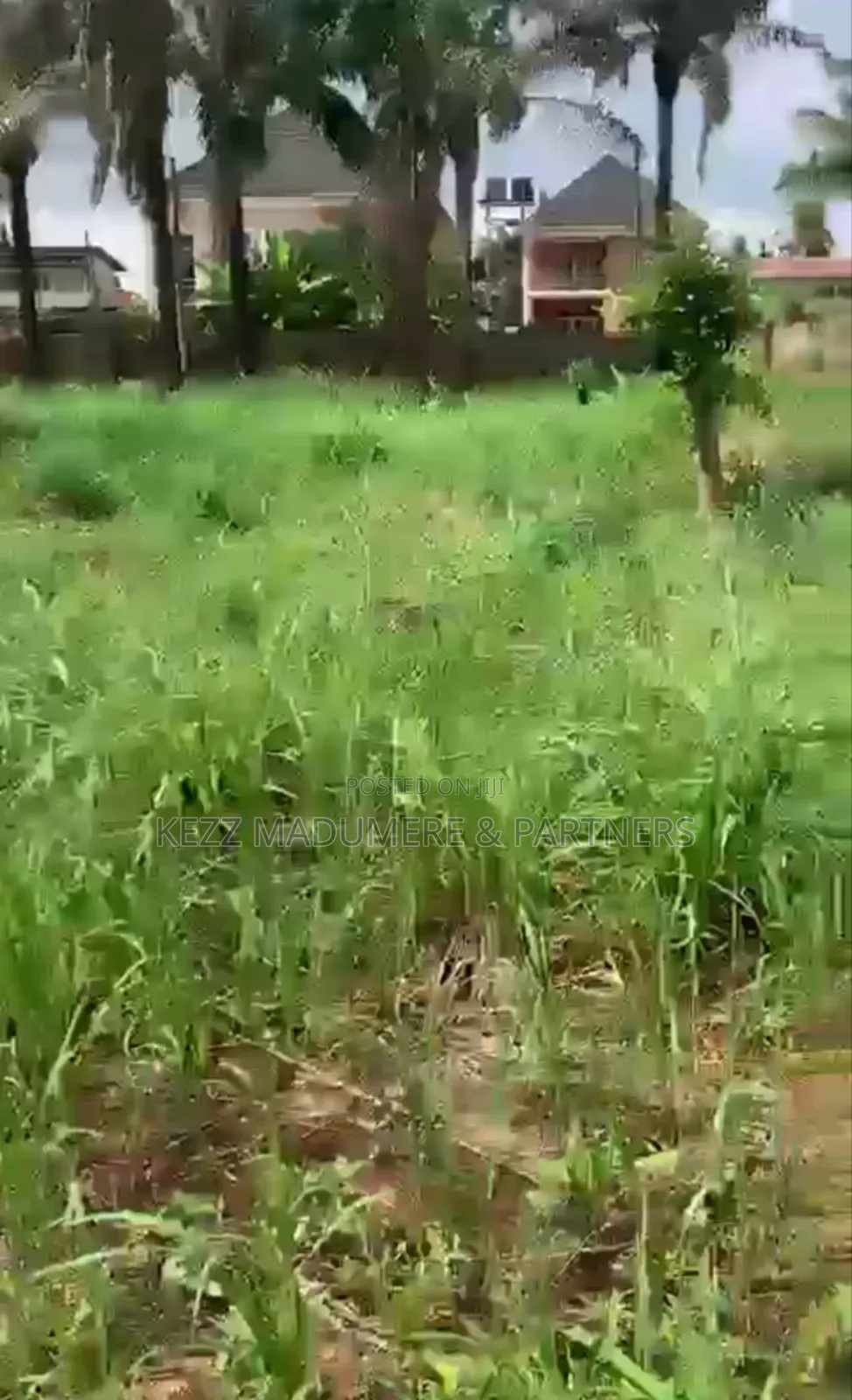 For Sale : 1000 SQMTRS Land at Old Gra by Graceland College