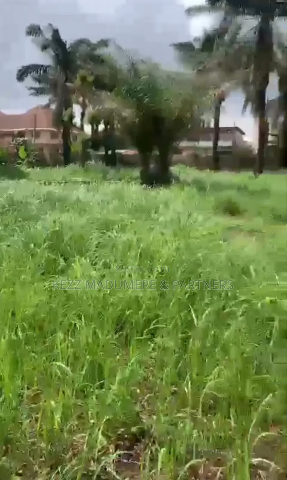 For Sale : 1000 SQMTRS Land at Old Gra by Graceland College