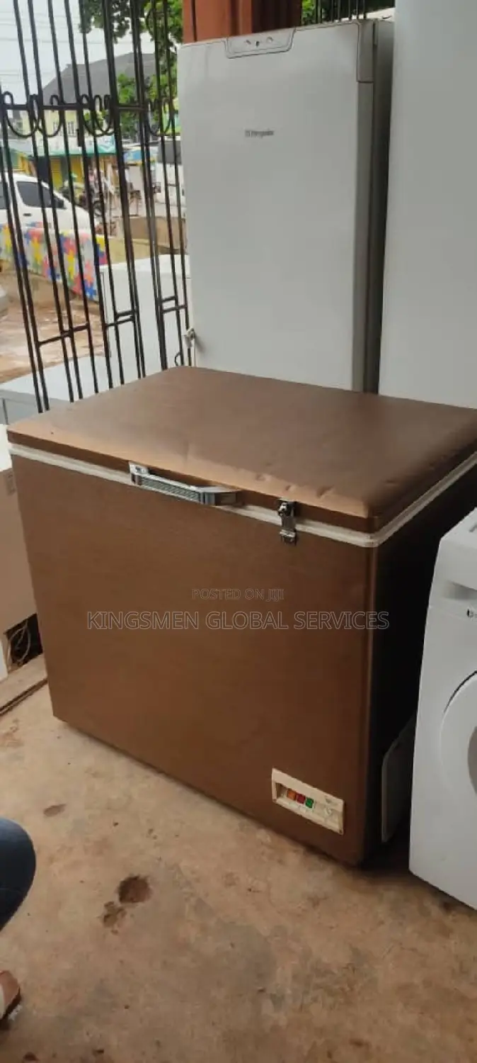 Liebherr Deep Freezer for Frozen Food Business