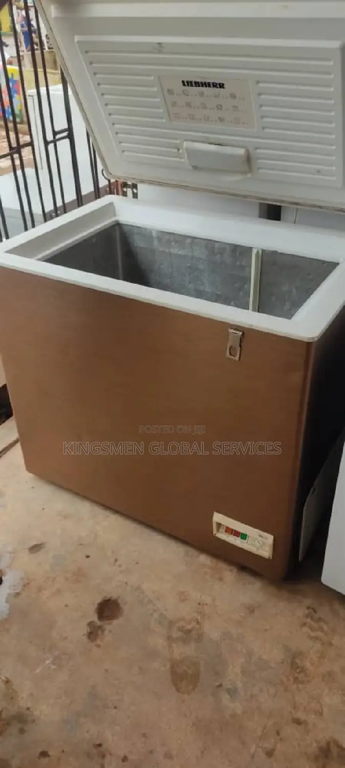 Liebherr Deep Freezer for Frozen Food Business