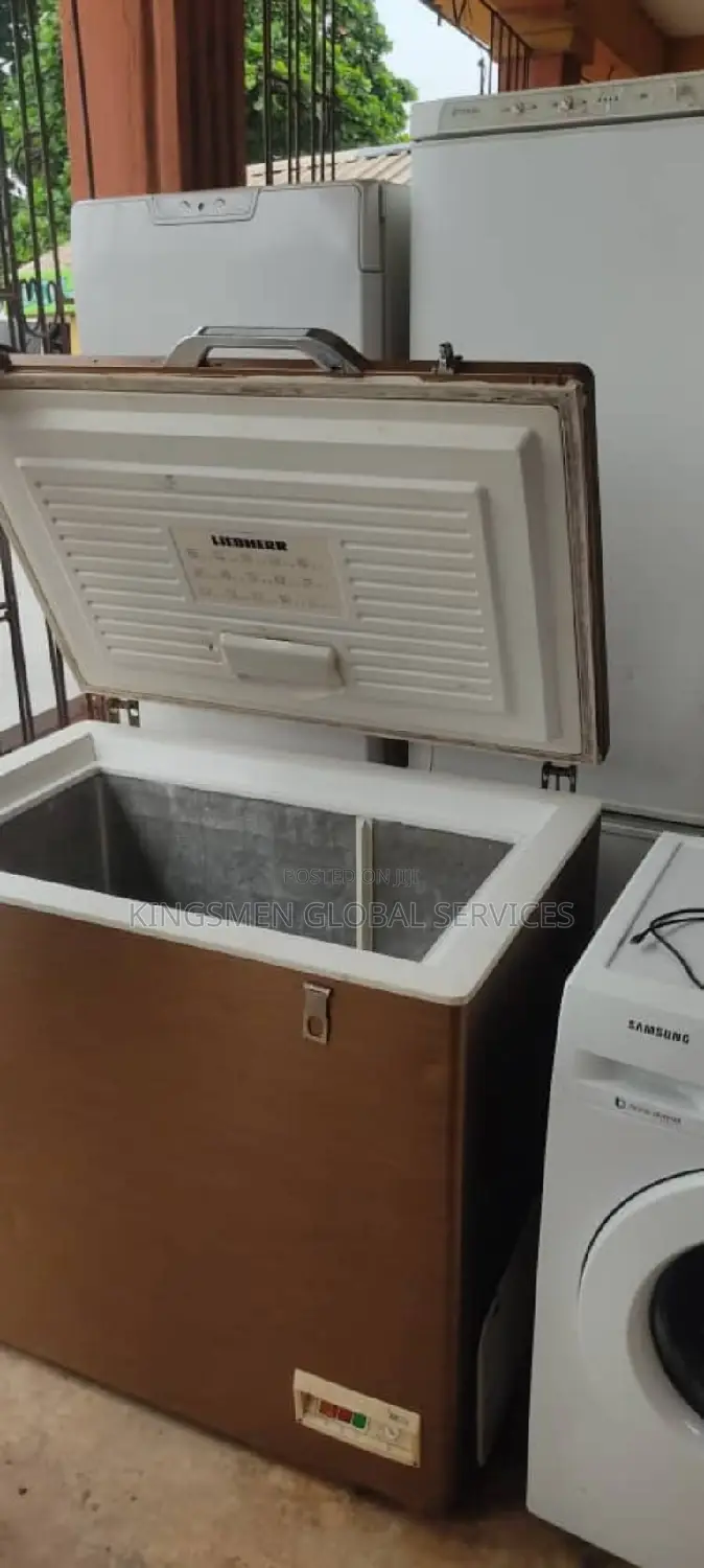 Liebherr Deep Freezer for Frozen Food Business