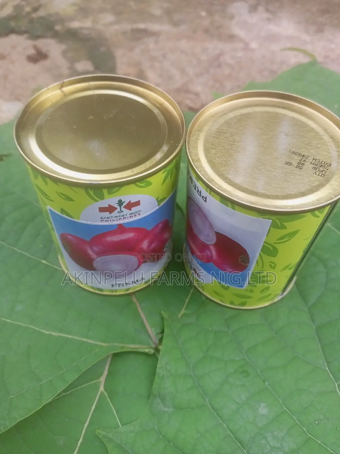 Onion Seeds With High Production