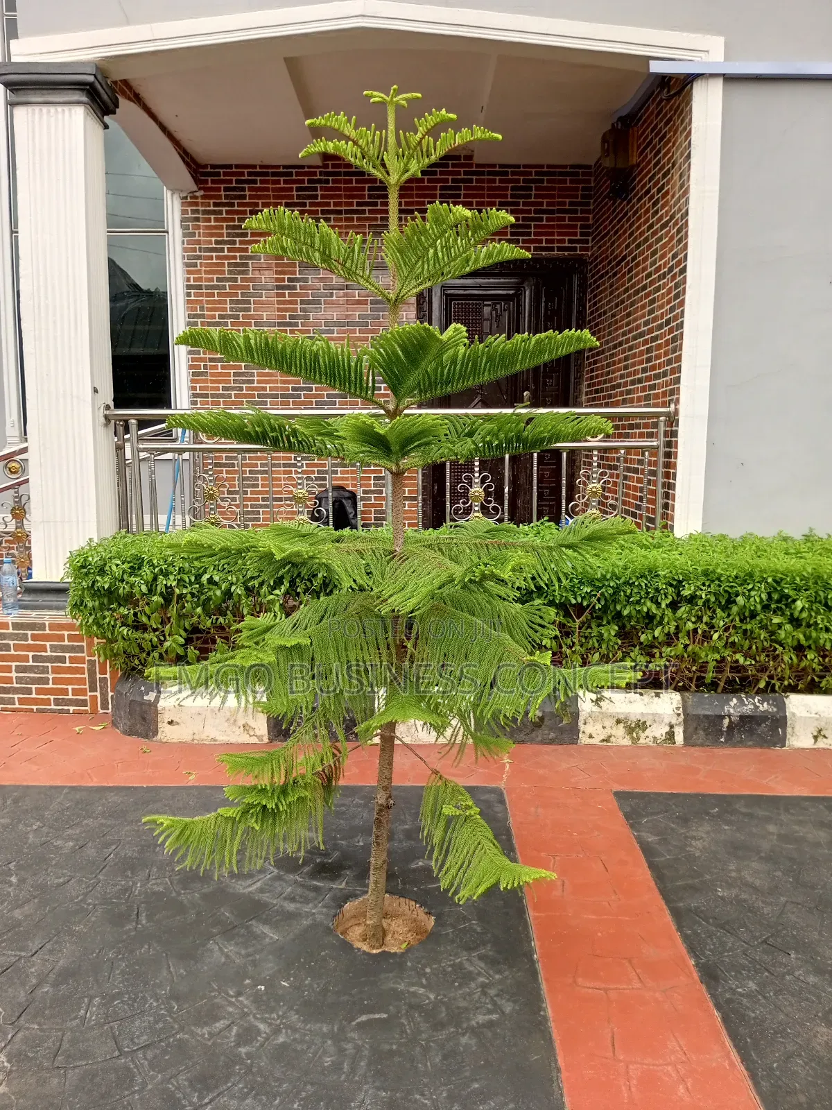 Gardening Services