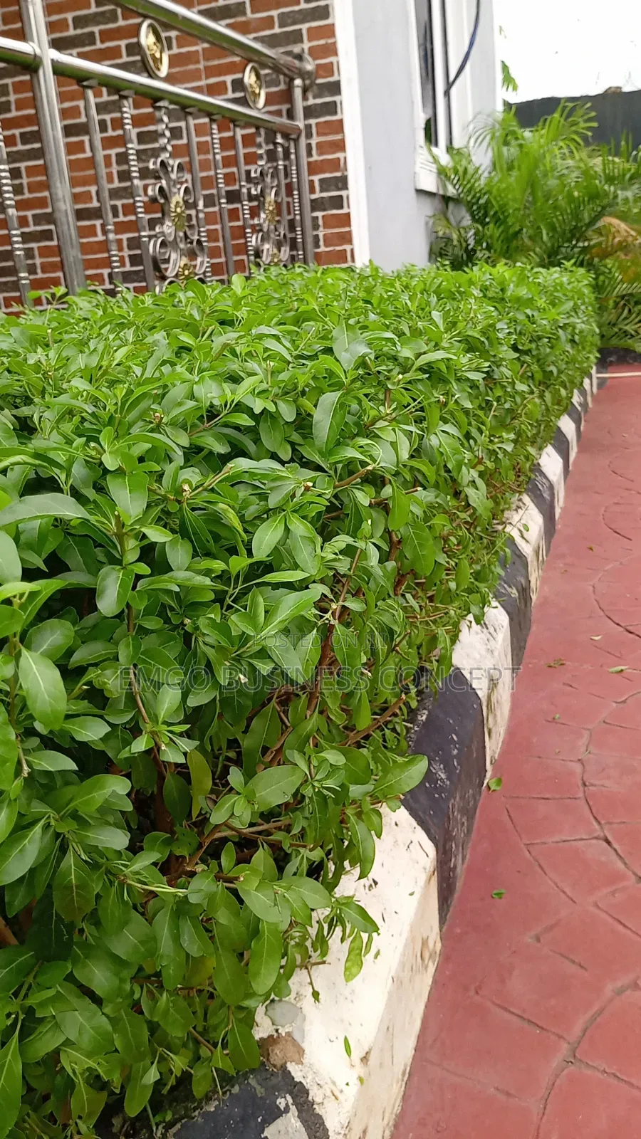 Gardening Services
