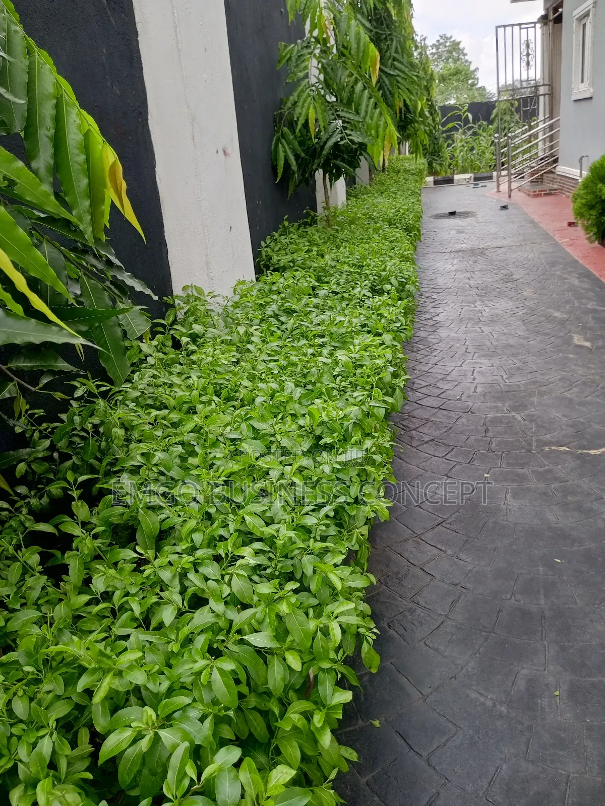 Gardening and Landscaping