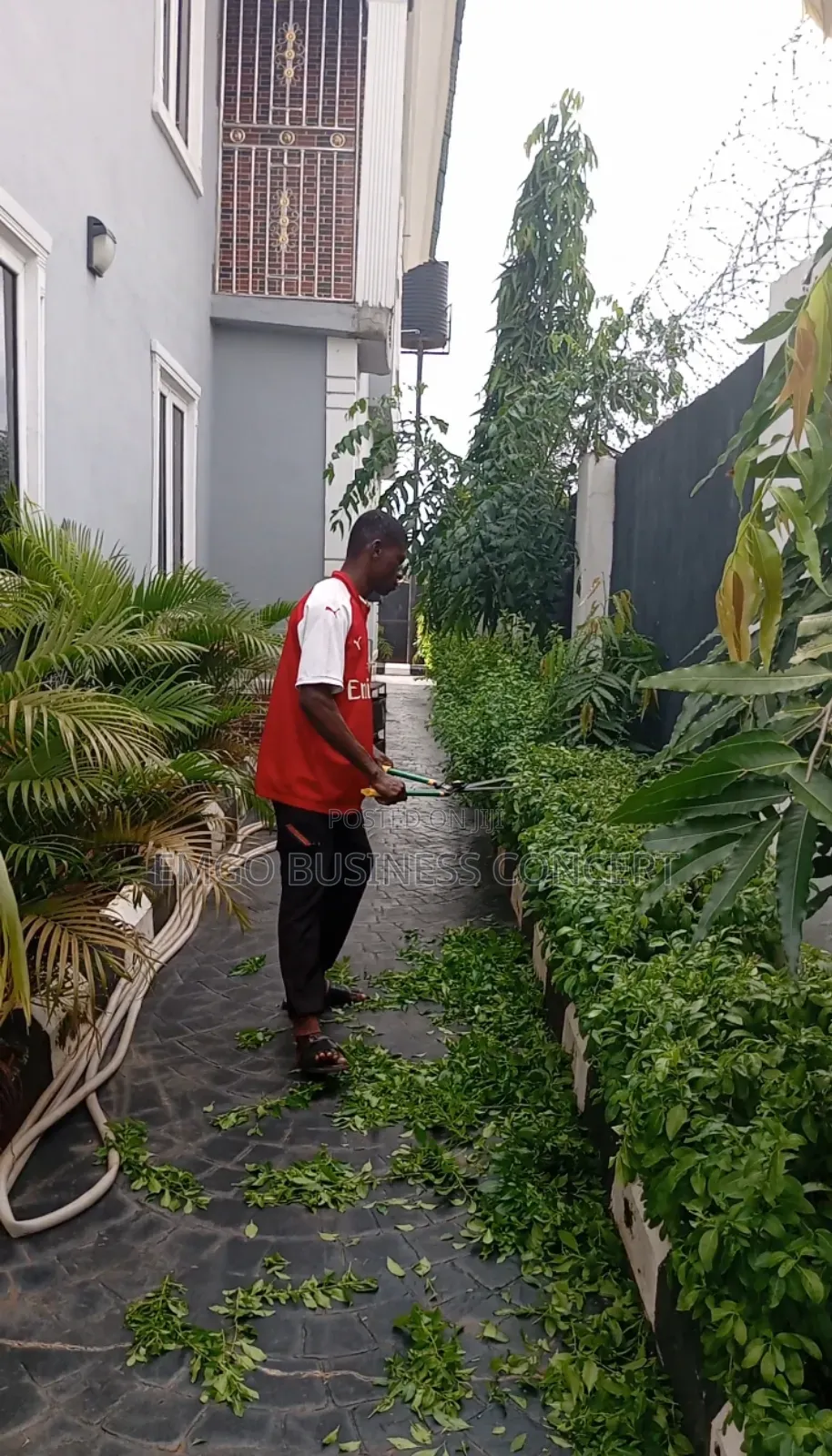 Gardening and Landscaping