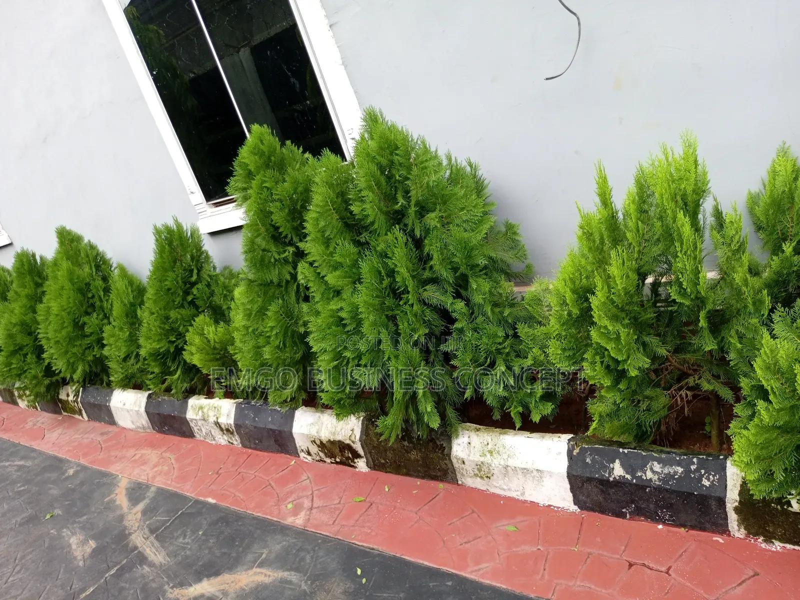 Gardening and Landscaping