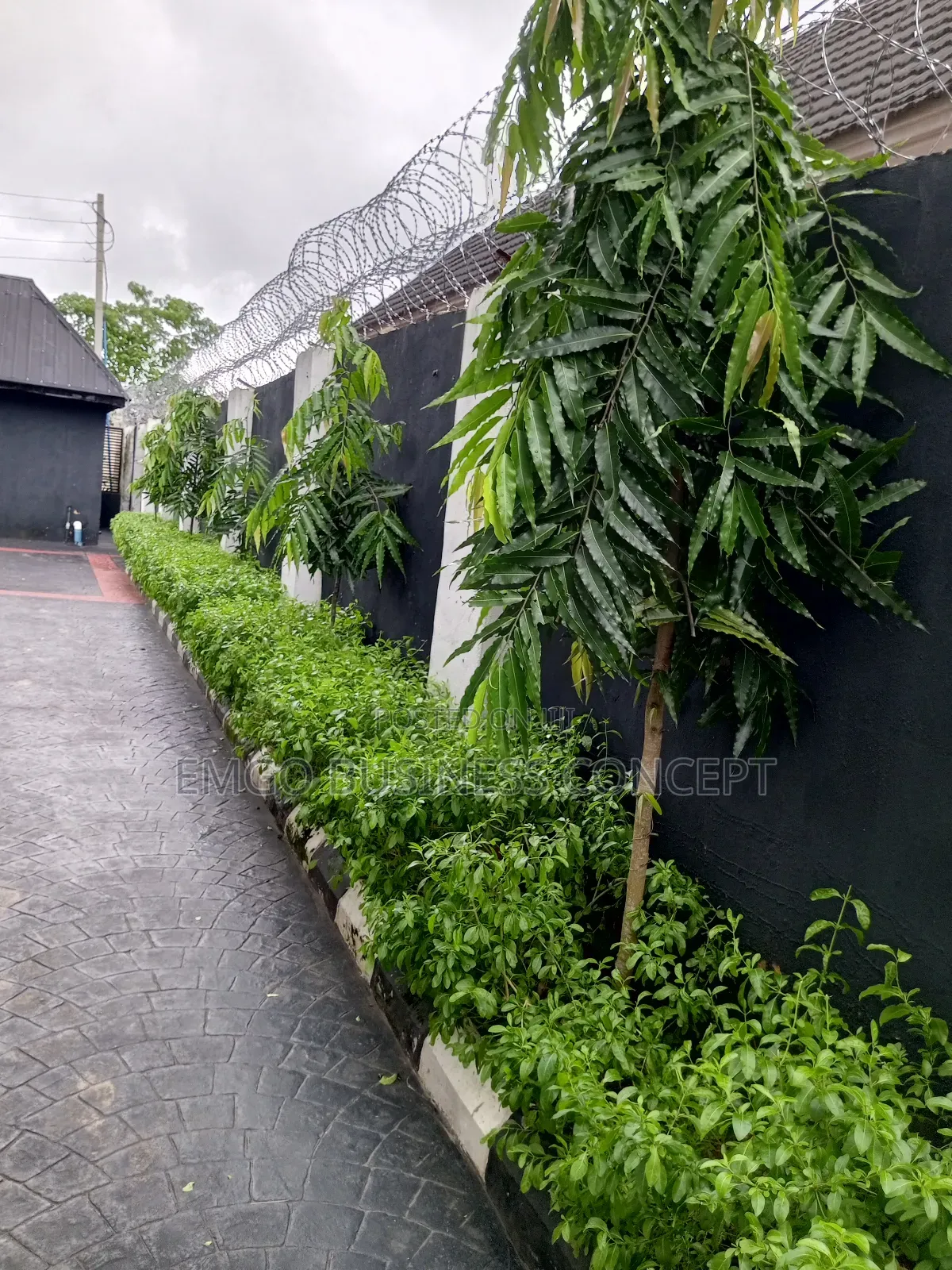 Gardening and Landscaping