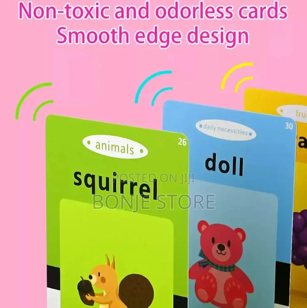 Talking Rechargeable Flash Card Reader for Kids