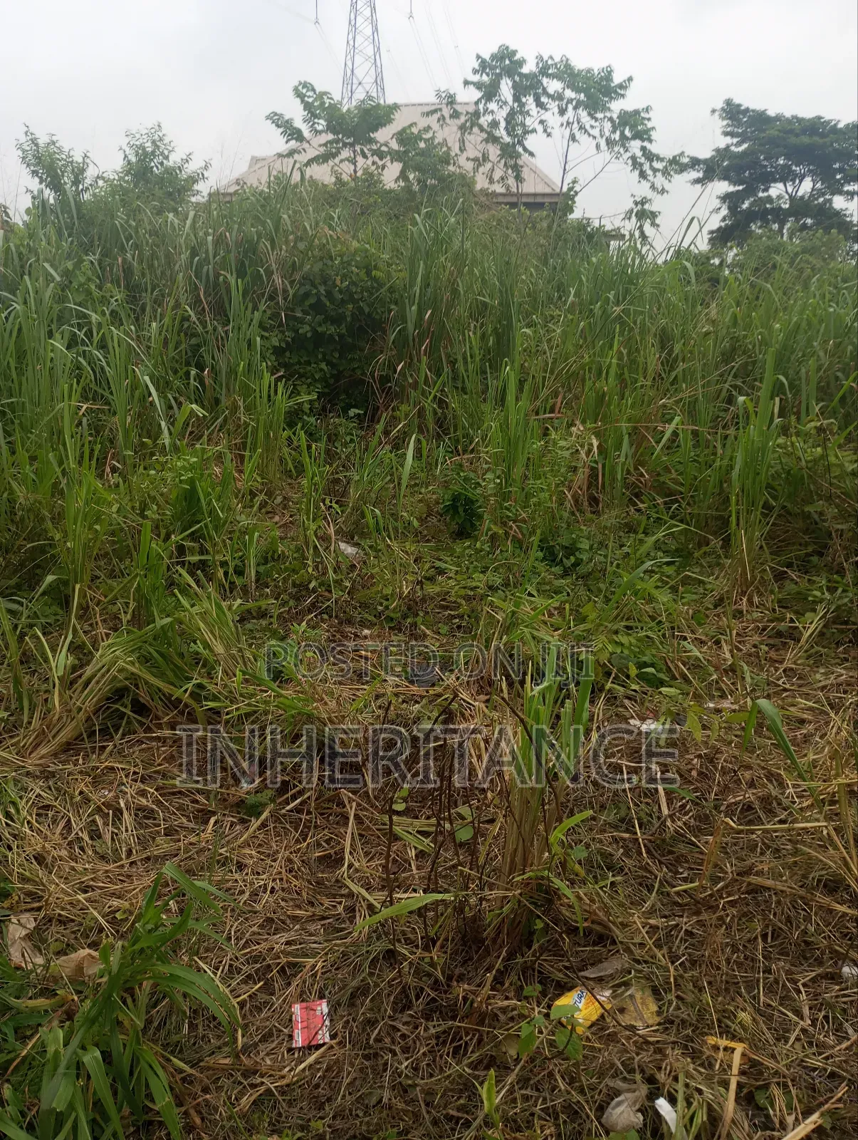 Half Plot at Imgbon Araromi Ikorodu