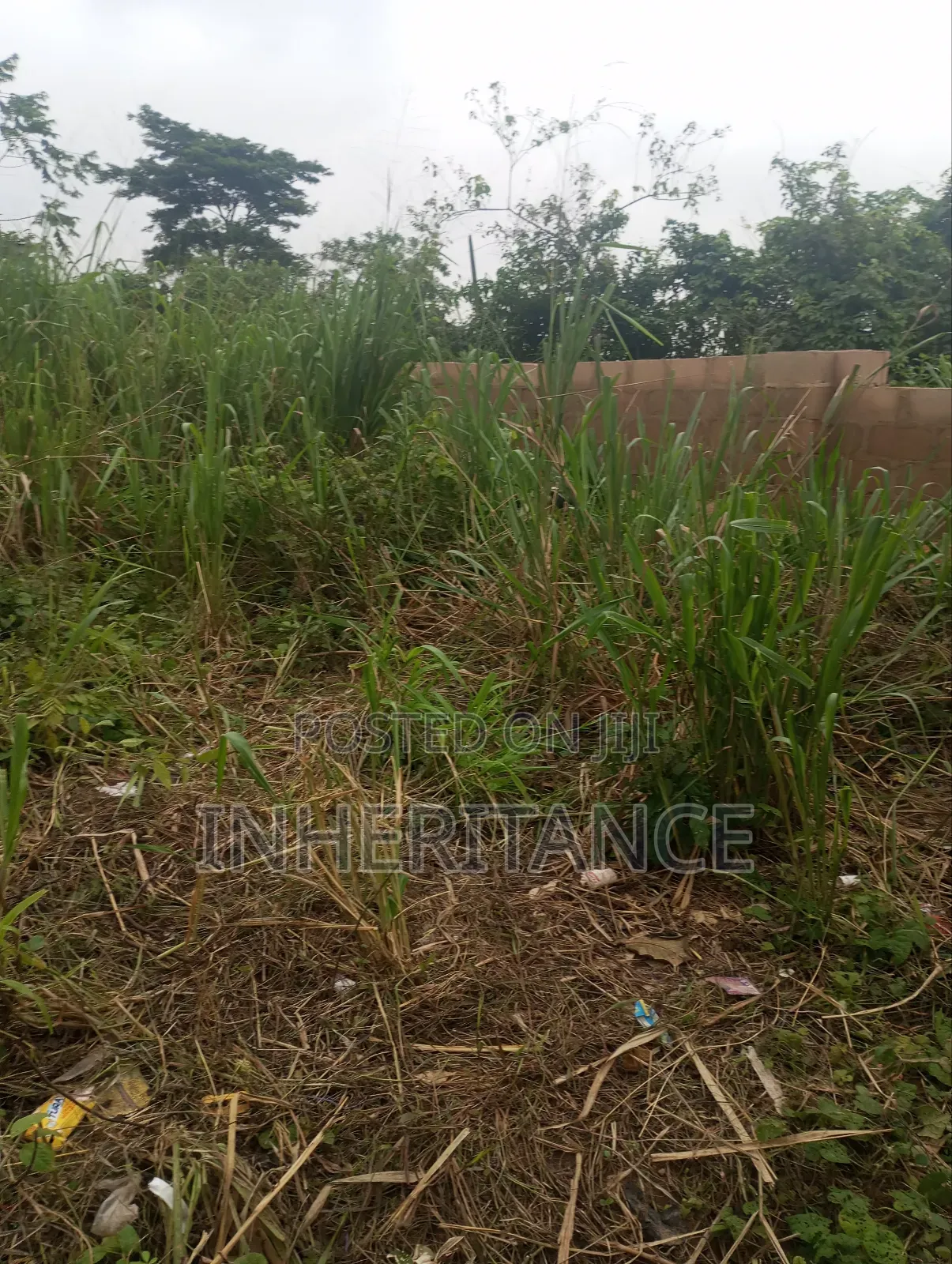 Half Plot at Imgbon Araromi Ikorodu