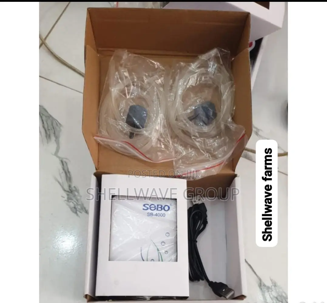 2 Outlets Rechargeable Air Pump
