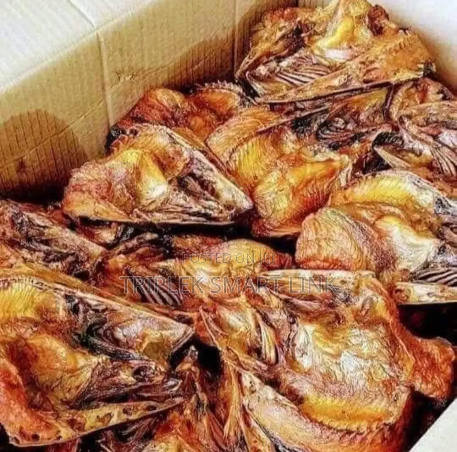 Thailand Butterfly Fish (Complete 15kg)