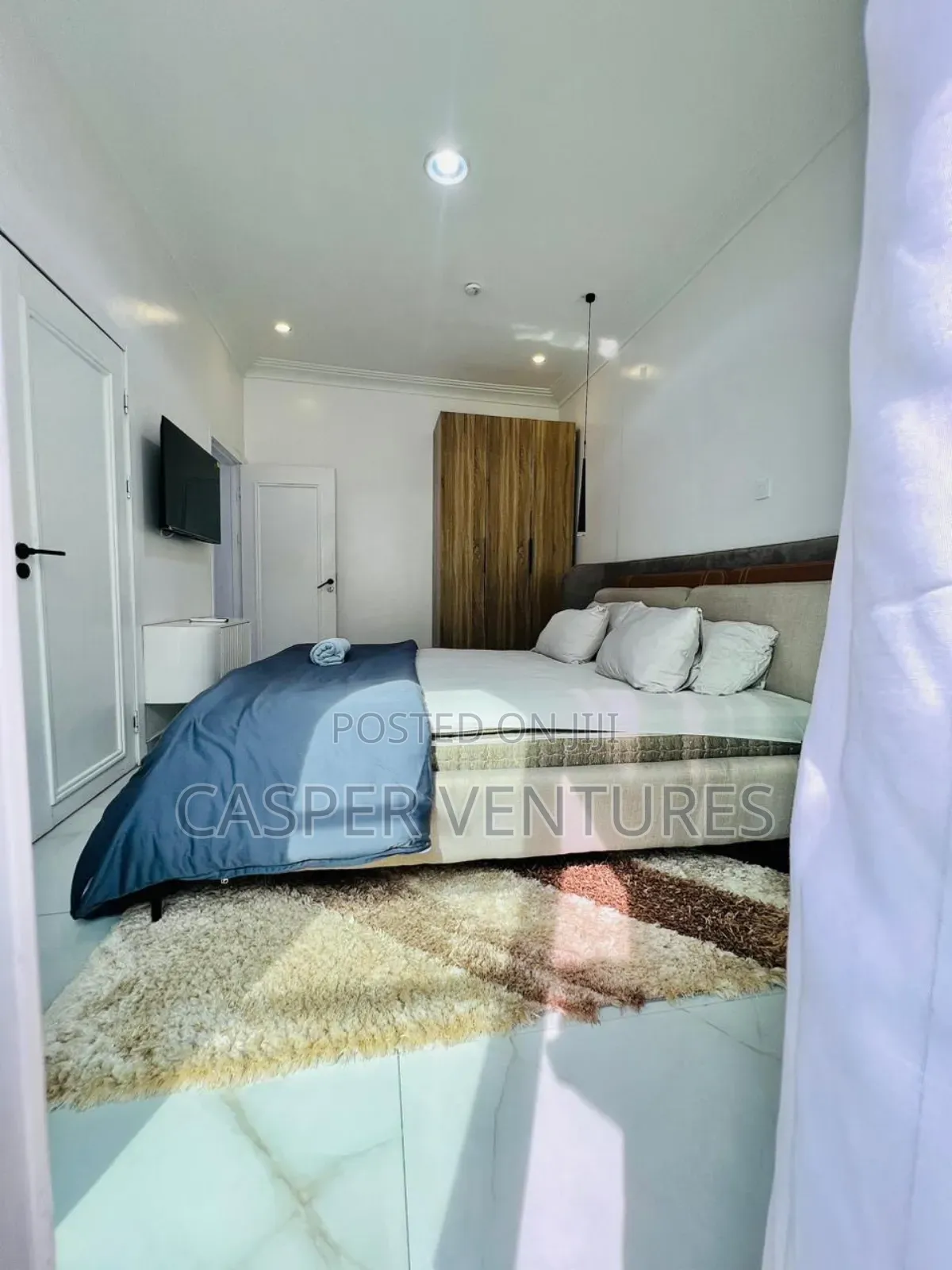 Ecstatic and Magnetic Apartment