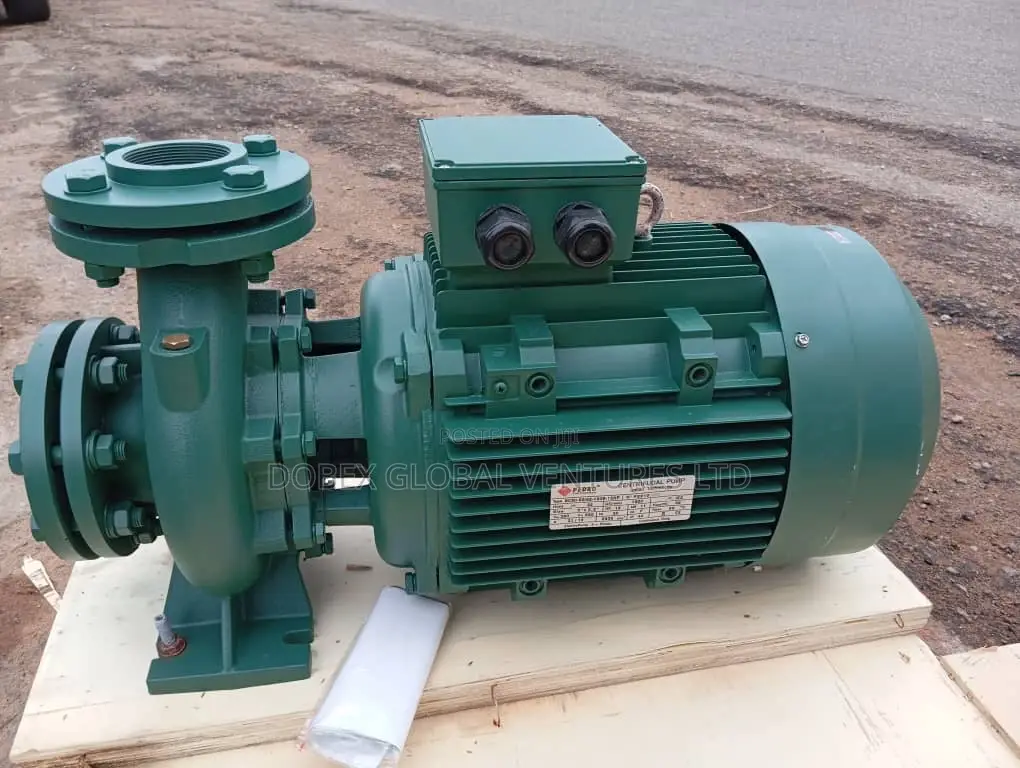 15 Horse Power Surface Pedro Water Pump
