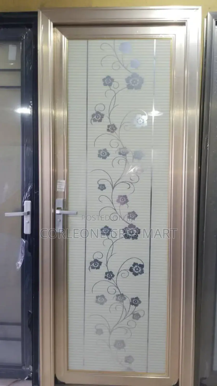 Full Glass Toilet Door