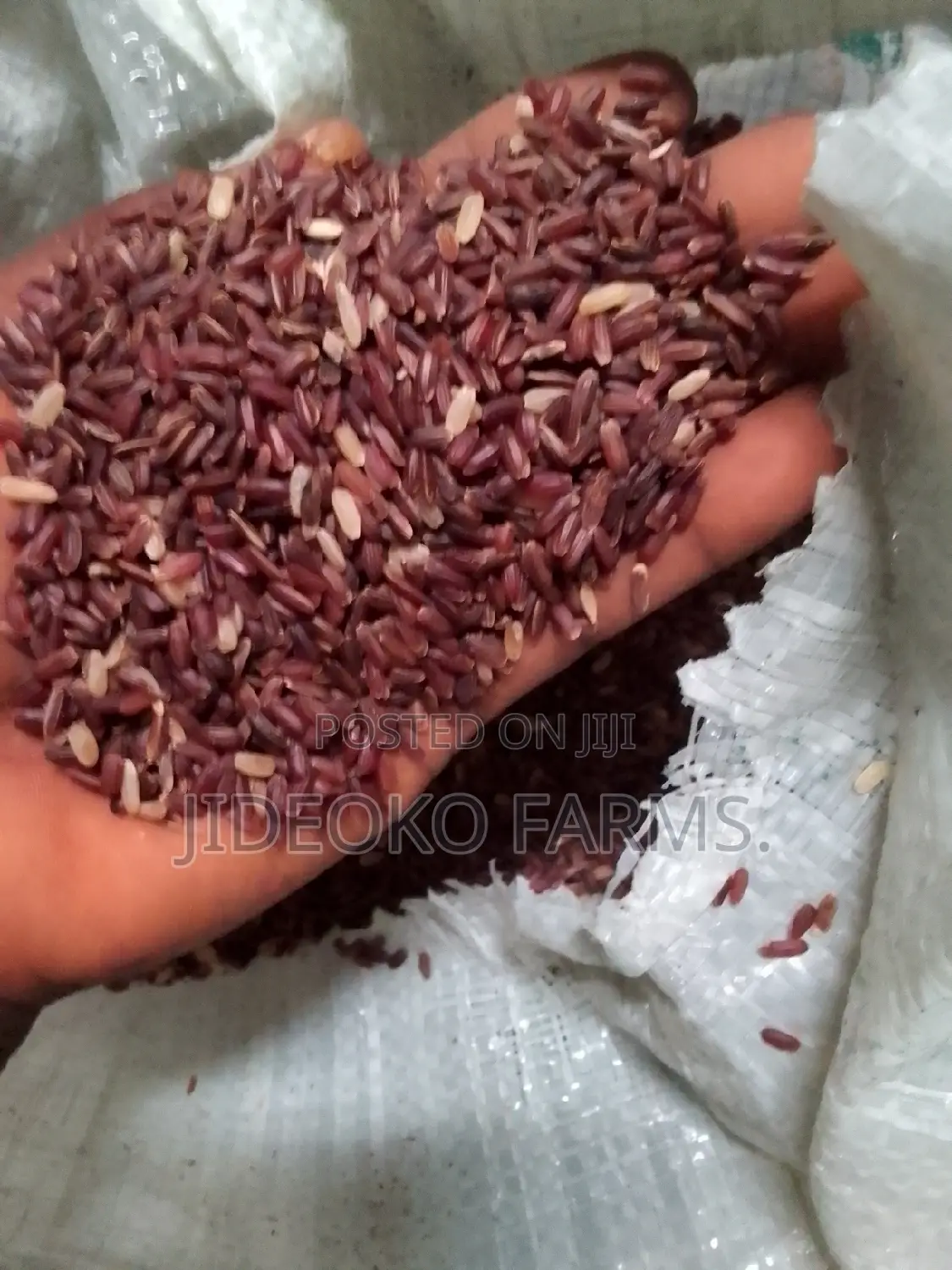 Brown Rice (1bushel)
