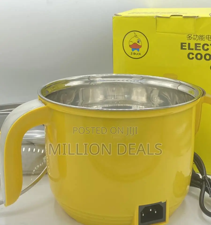 Unique Electric Cooker Pot