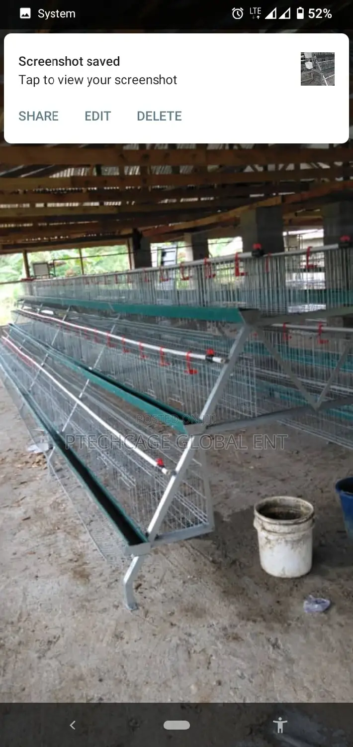 Battery Cages 120 Birds Capacity Hot Deep Galvanized