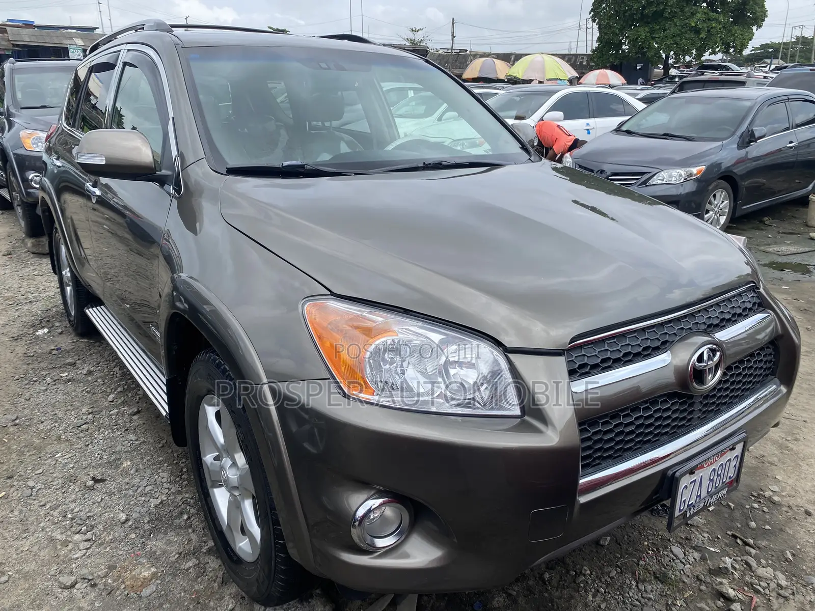 Toyota RAV4 2.5 Limited 4x4 2010 Brown