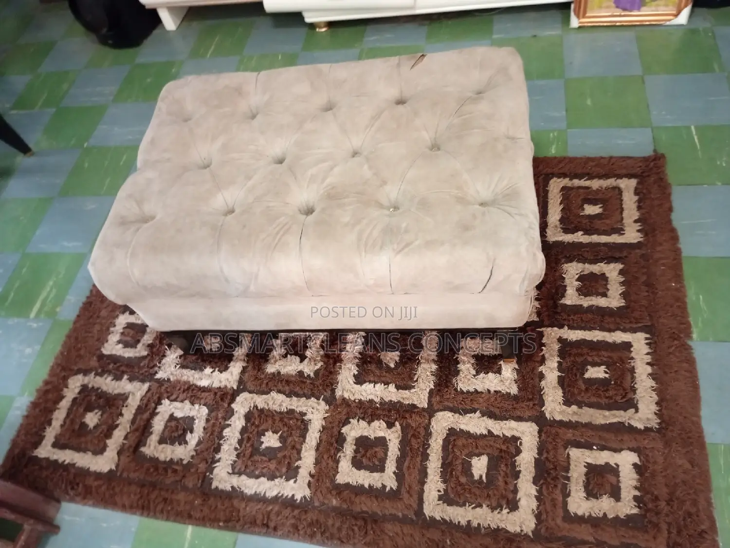 Couch and Rug Carpet Cleaning Services