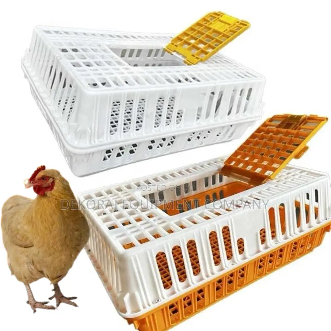 High-capacity Chicken Transport Crate For Large Flocks