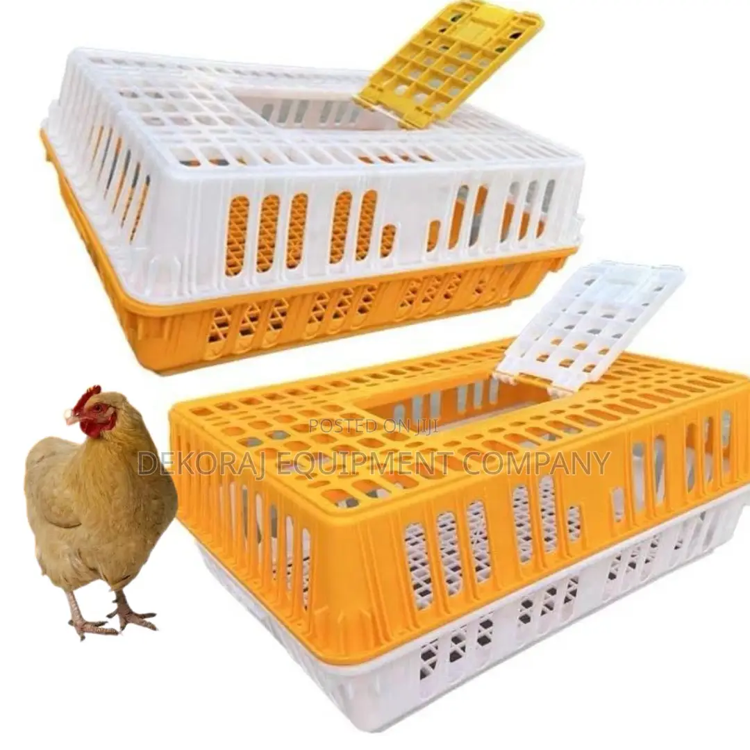 Hygienic Chicken Transport Crate for Disease Prevention