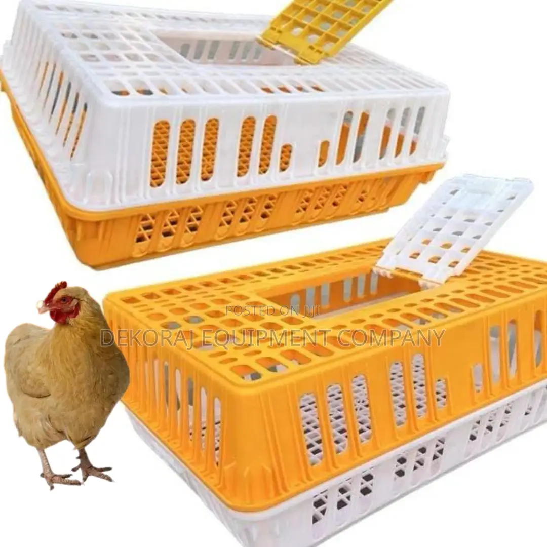 Easy-Assembly Chicken Transport Crate for Quick Setup