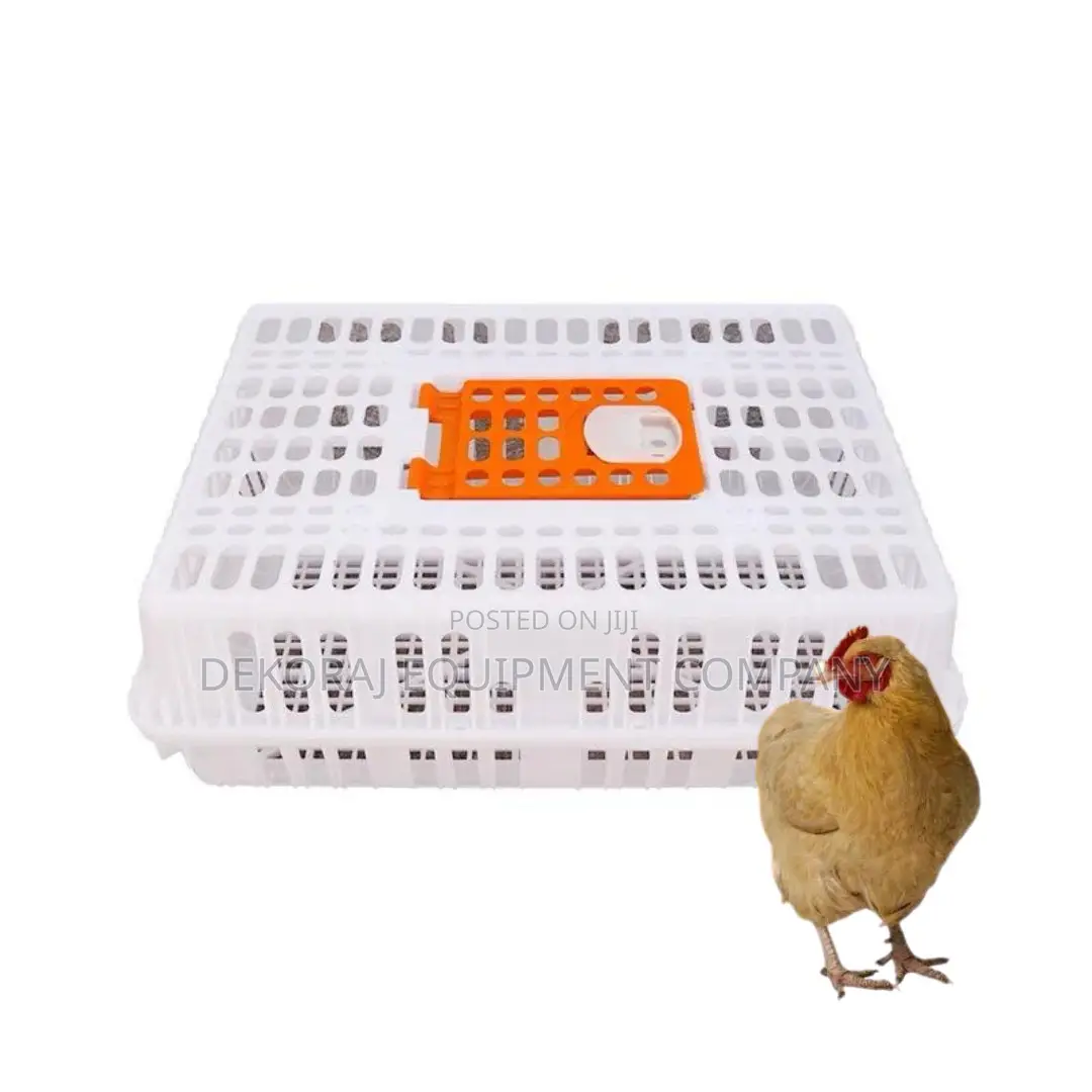 Chicken Transport Crate With Smooth Edges for Safety