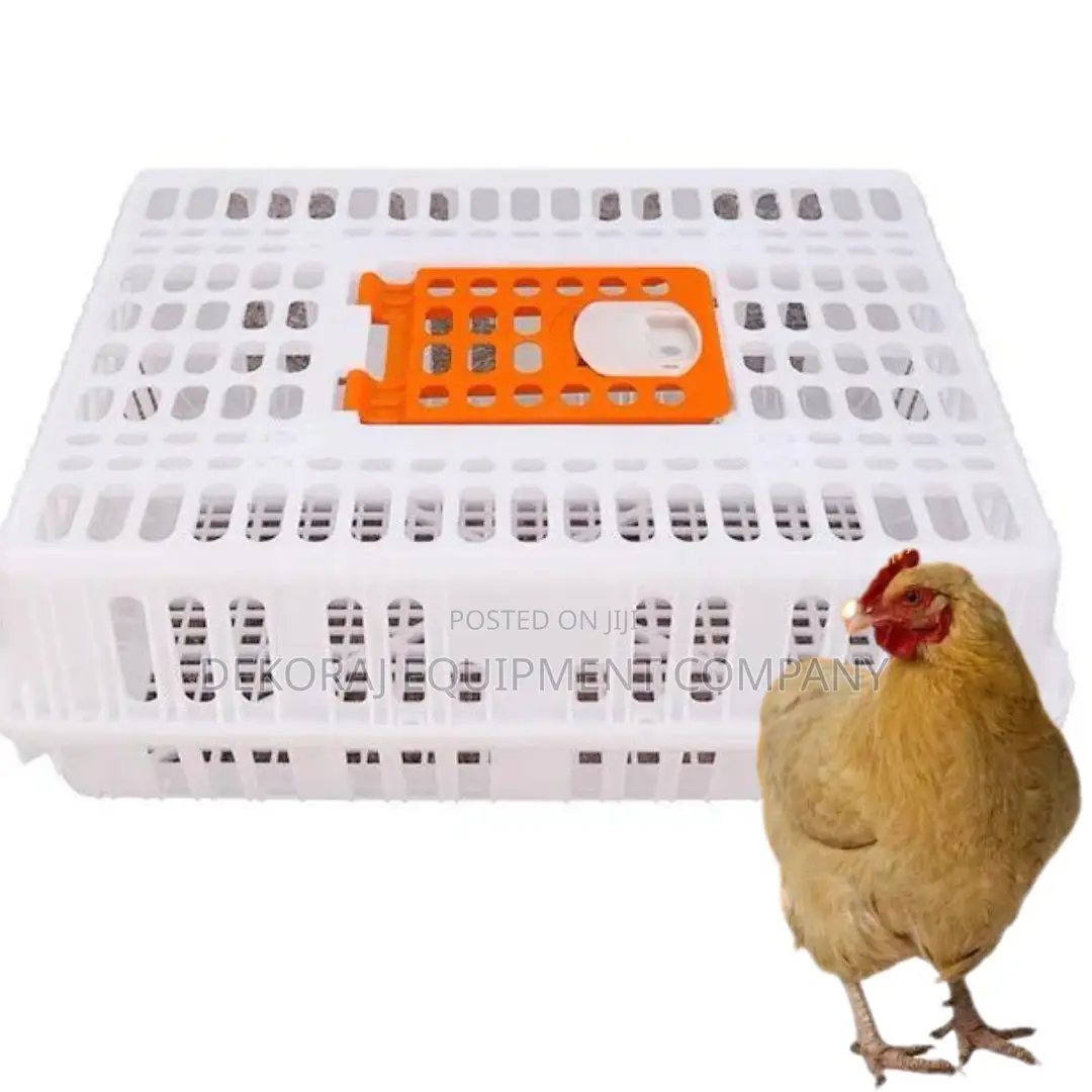 Chicken Transport Crate With Secure Ventilation Slots