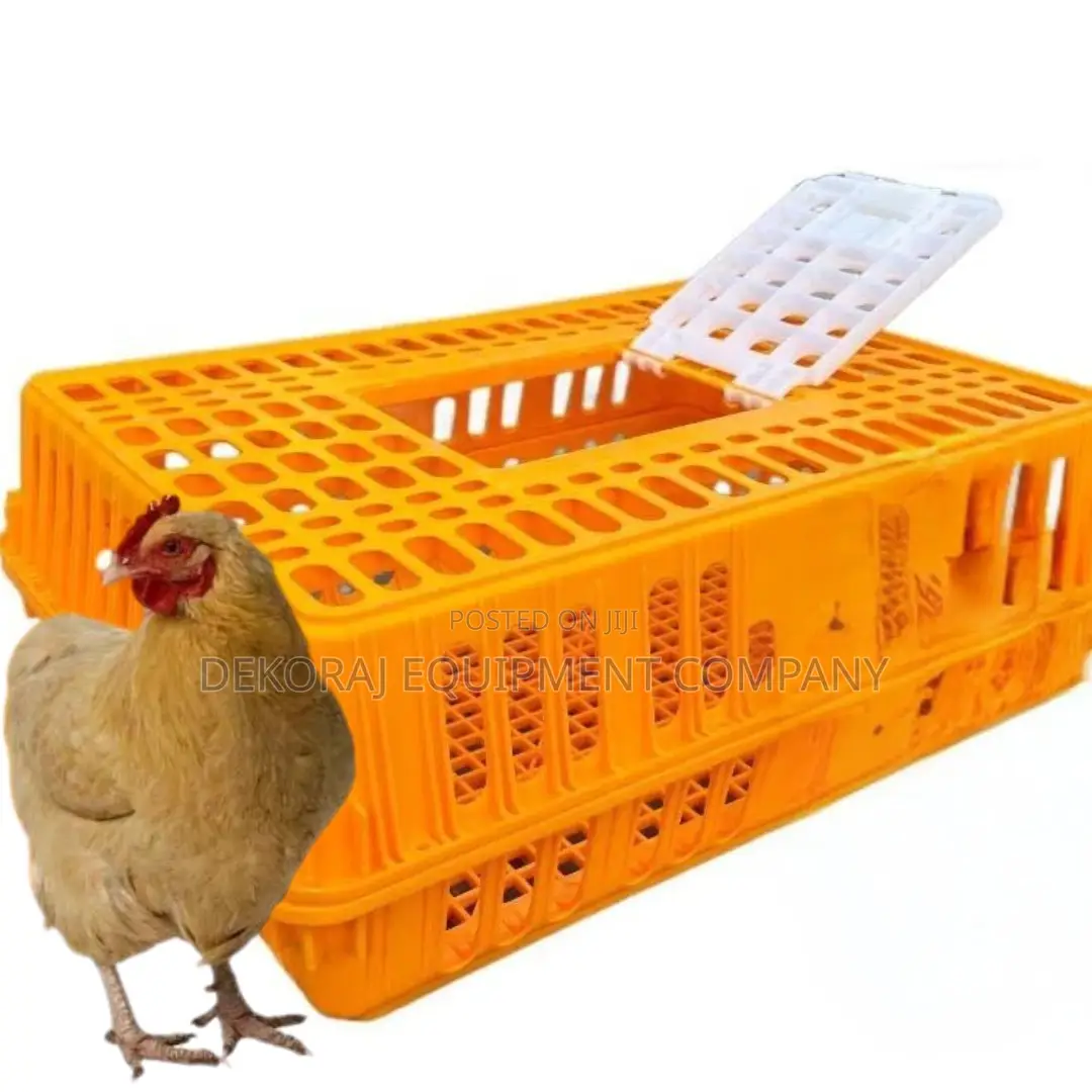 Premium Chicken Transport Crate for Professional Farmers