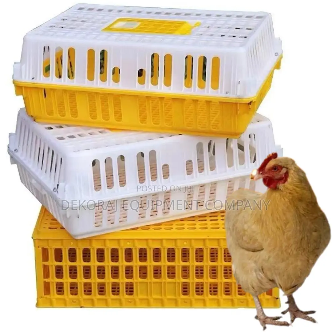 Collapsible Chicken Transport Crate for Easy Storage