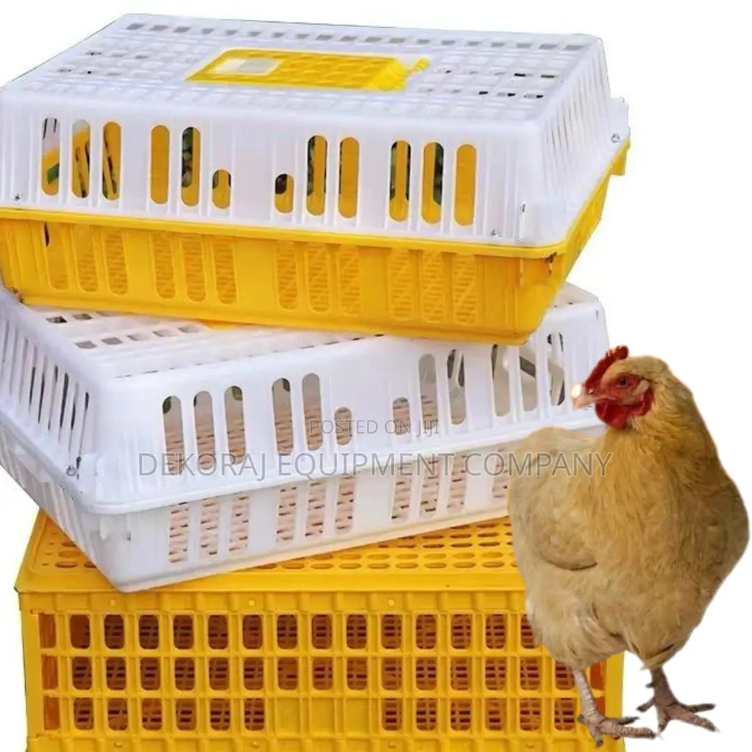 Chicken Transport Crate With Enhanced Durability