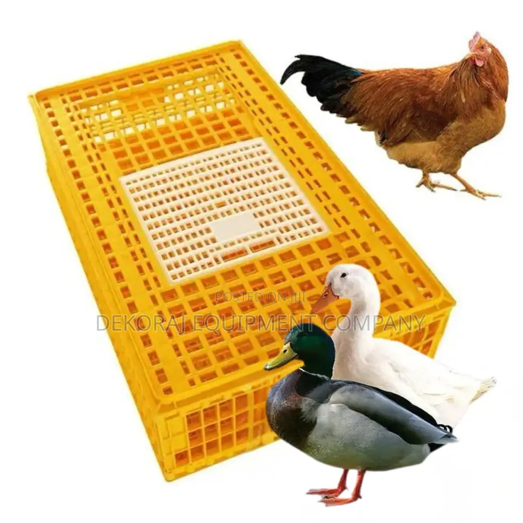 Transparent Chicken Transport Crate for Easy Monitoring