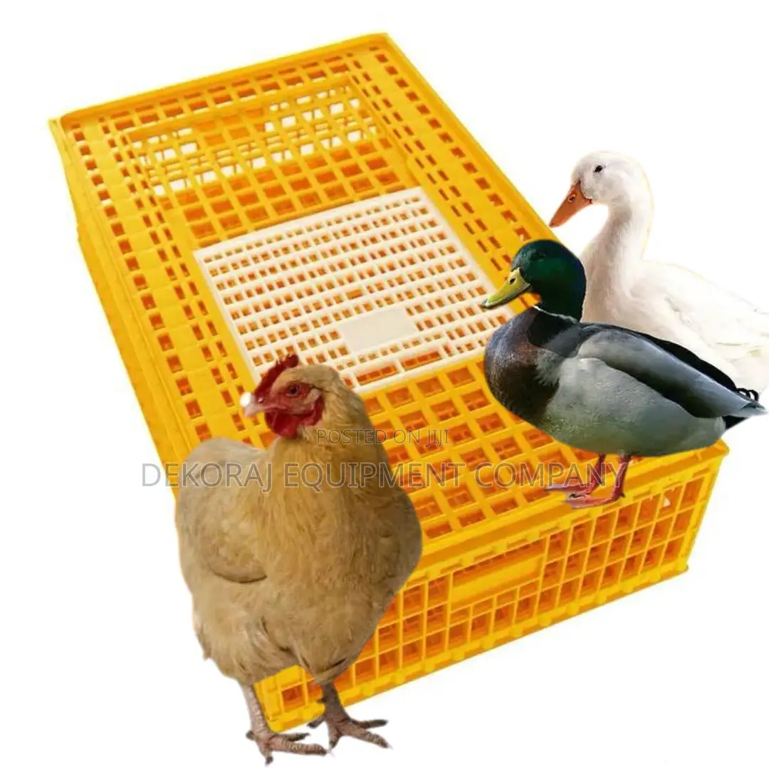 Compact Chicken Transport Crate For Limited Space