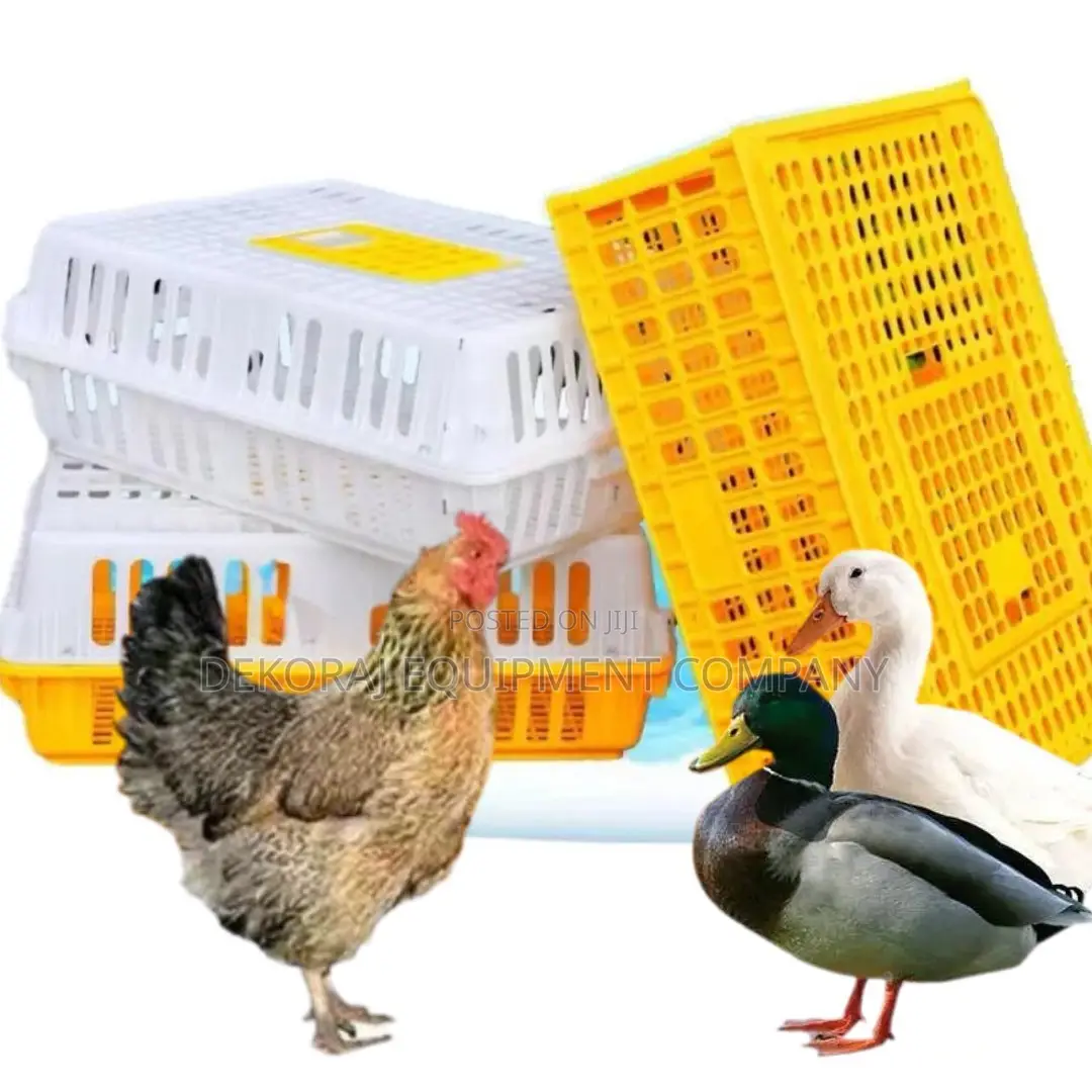 High-Visibility Chicken Transport Crate,Layer Cage Seller