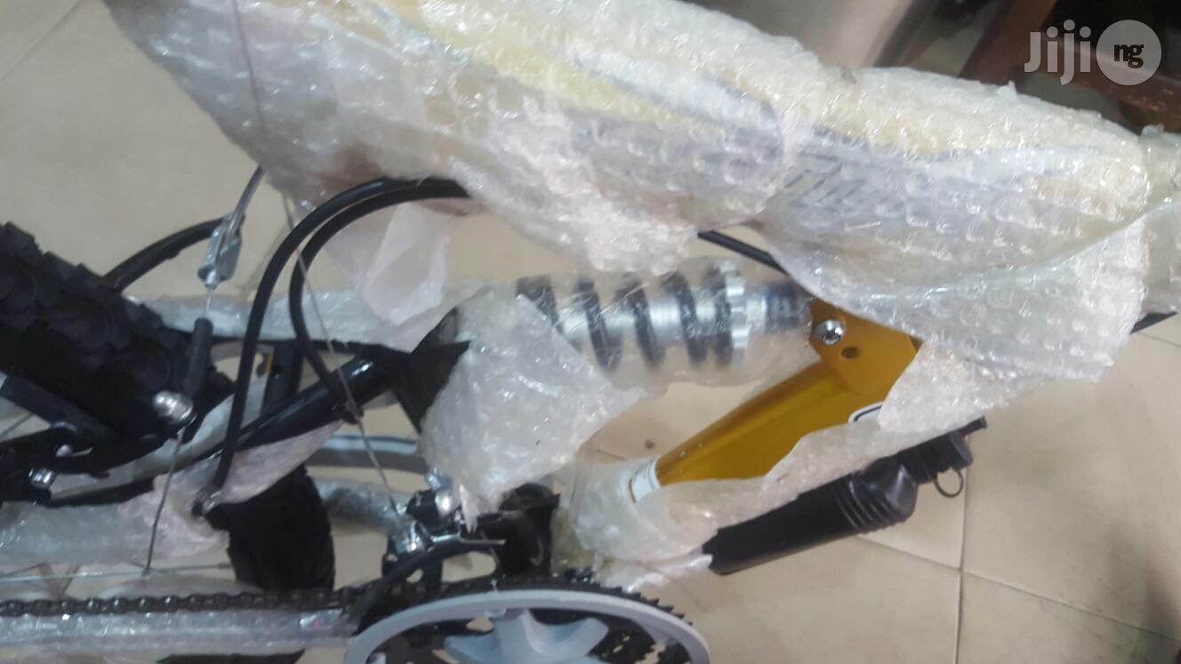 Adult Cycling Bike